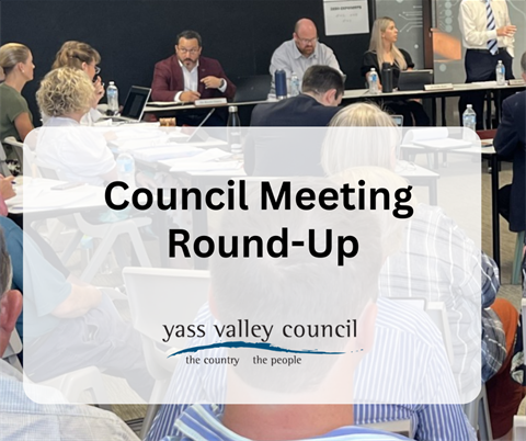 Council Meeting Web .png