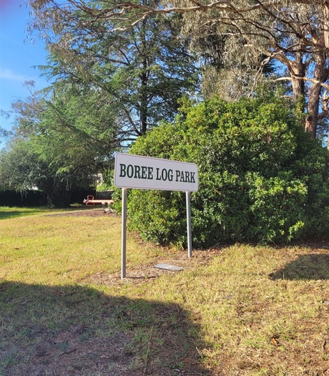 Boree-00-Main.jpg
