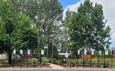 Jones Park 03