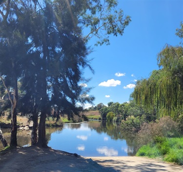 OConnor Park 16