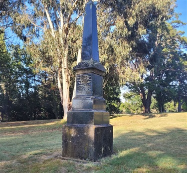 Vic Park 10