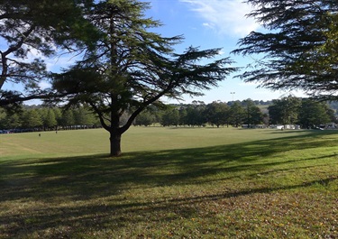 Vic Park 16