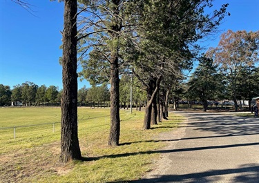 Vic Park 17