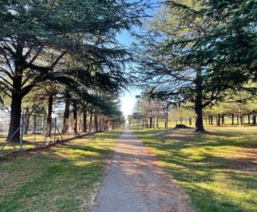 Vic Park 18
